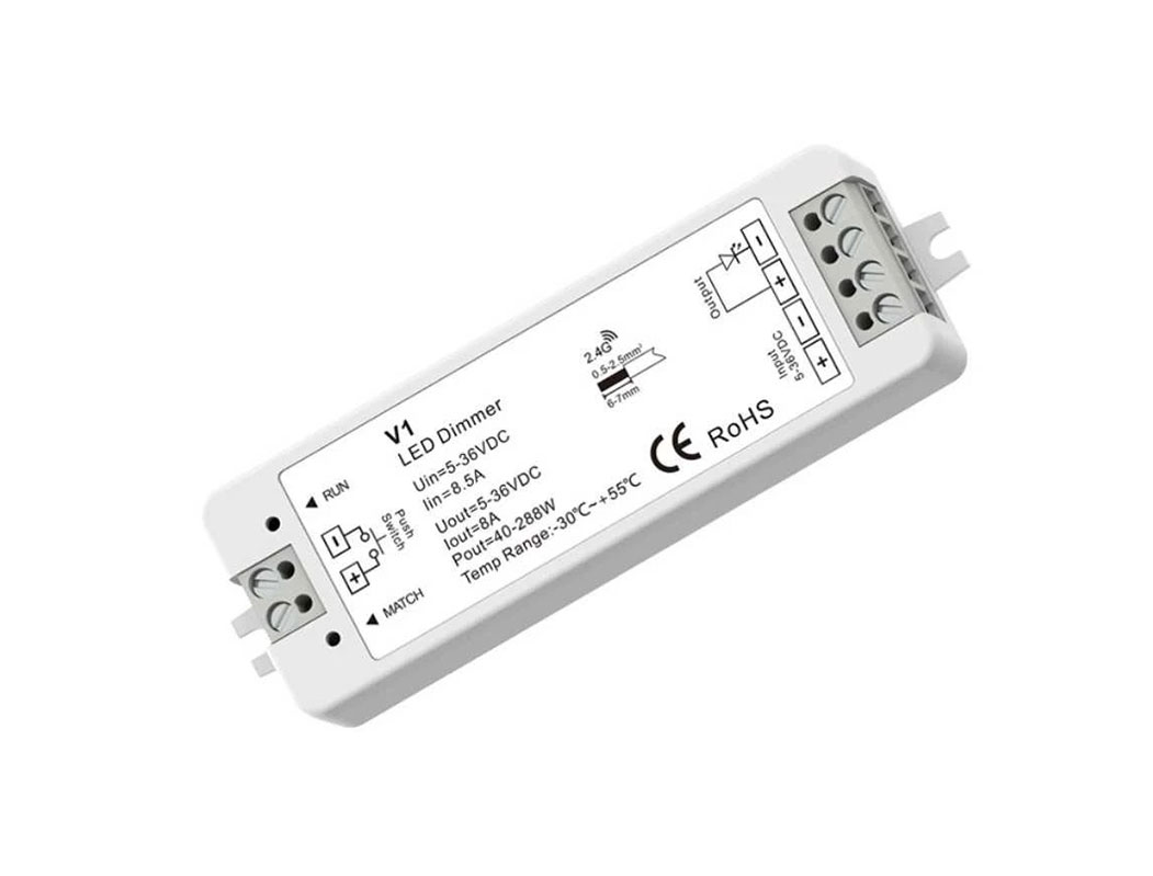 Receptor V1