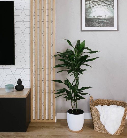 lamele-de-perete-stejar-sonoma-30x60- (2)